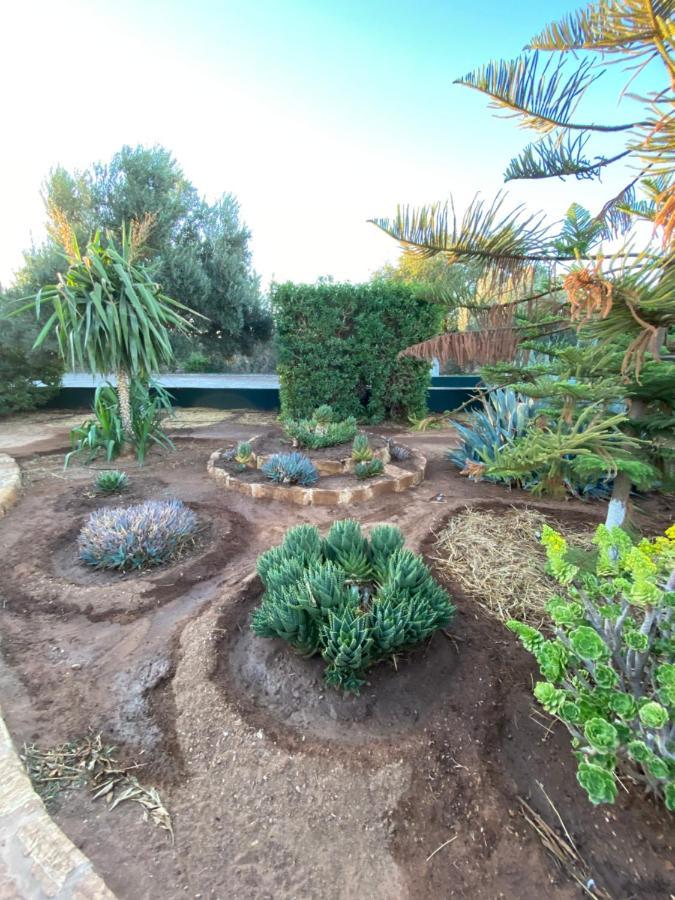 Riad Les Trois Merveilles Essaouira Eksteriør bilde